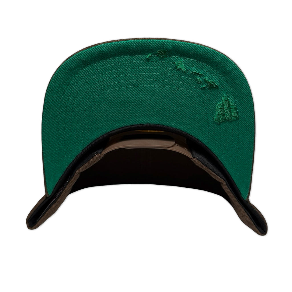 HVWVII Snapback